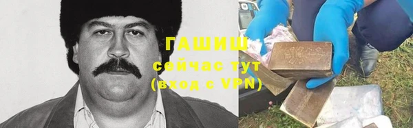 хмурый Алексин