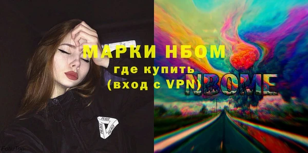 хмурый Алексин
