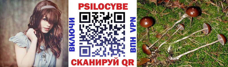 Галлюциногенные грибы мухоморы Одинцово