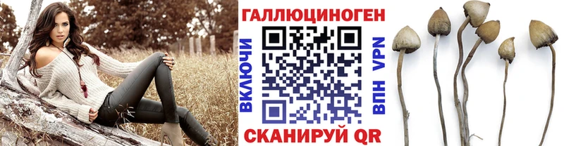 Галлюциногенные грибы Magic Shrooms  продажа наркотиков  Одинцово 