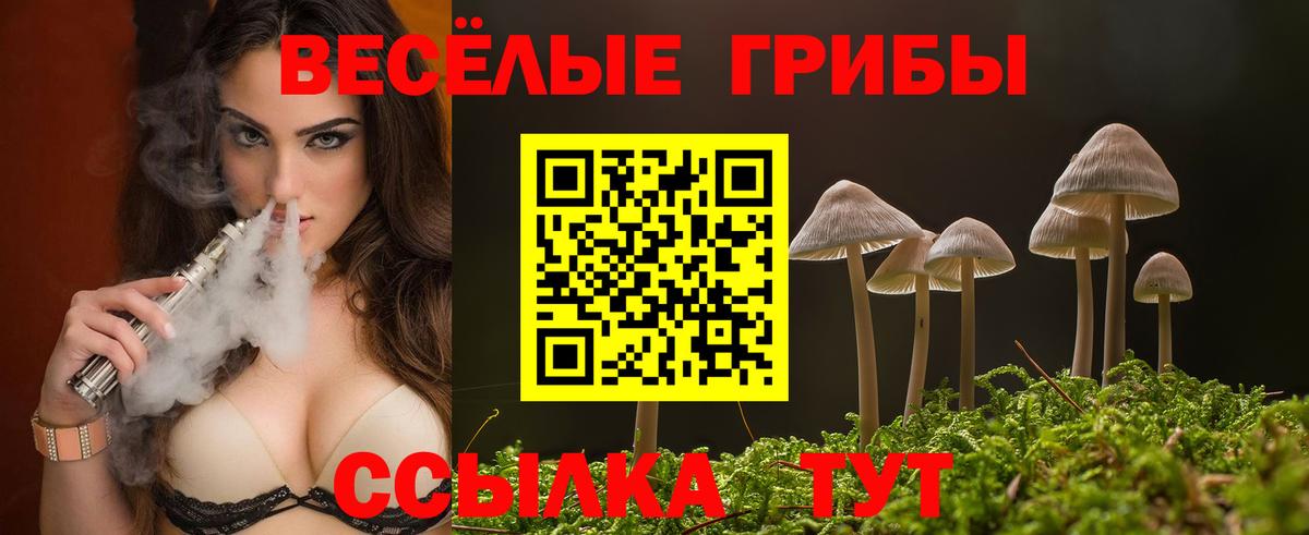 Галлюциногенные грибы Psilocybe  Вход с VPN  Одинцово 
