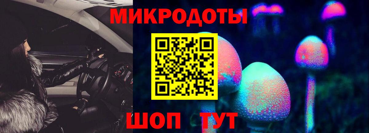 Галлюциногенные грибы Psilocybine cubensis Одинцово